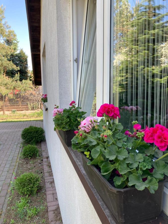 Apartmán Dom Chotomow Exteriér fotografie